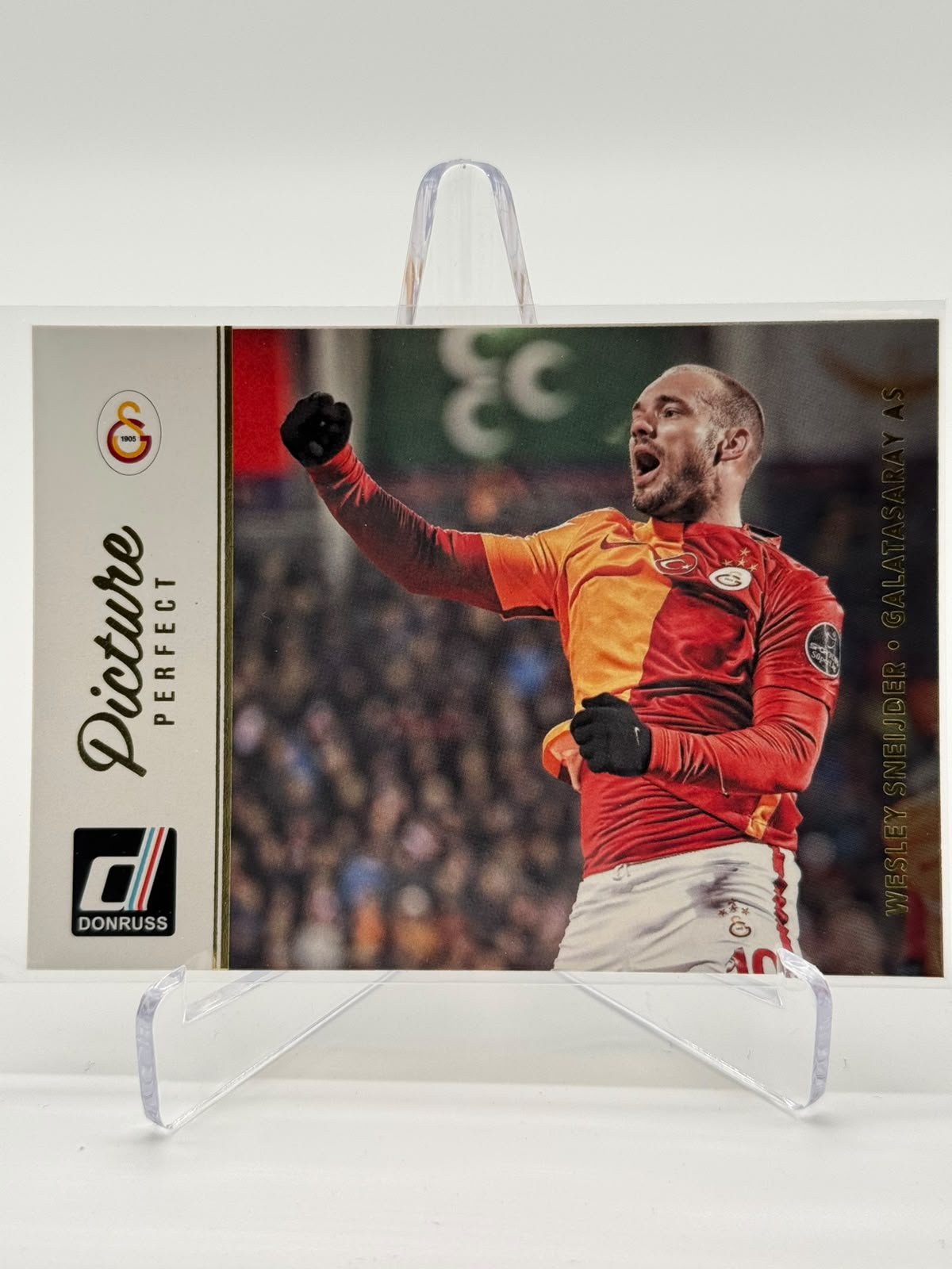 2016-17 Panini Donruss Wesley Sneijder Picture Perfect