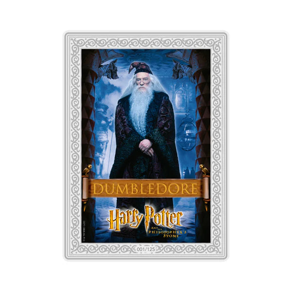 Harry Potter 25th Anniversary Edition - 3g Silver - Mystery Pack (SEALED)
