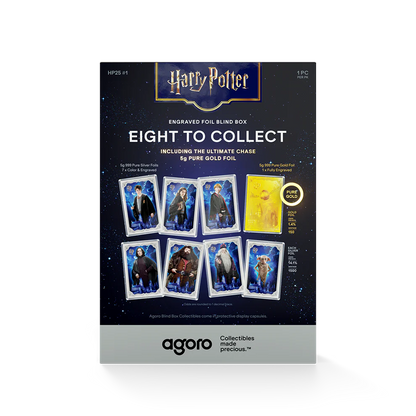 Agoro Harry Potter 25 Years of Magic Blind Box (SEALED)