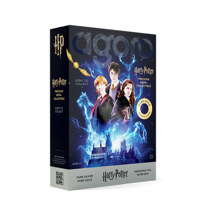 Agoro Harry Potter 25 Years of Magic Blind Box (SEALED)