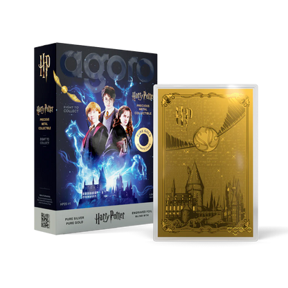 Agoro Harry Potter 25 Years of Magic Blind Box (SEALED)