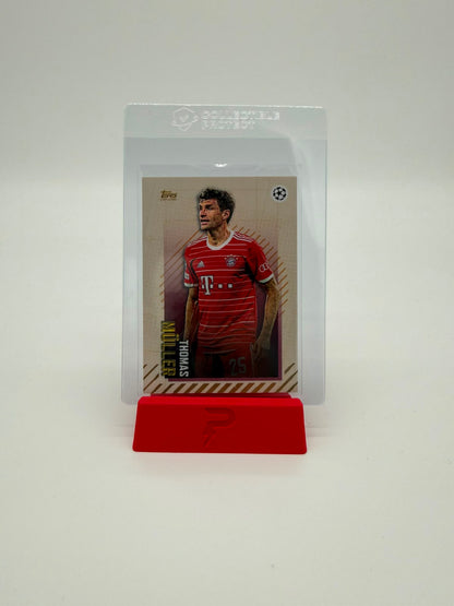 PUSHDICH Tradingcard Stand Red