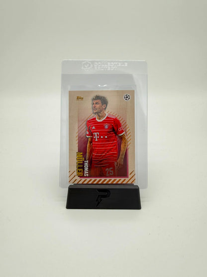 PUSHDICH Tradingcard Stand Black