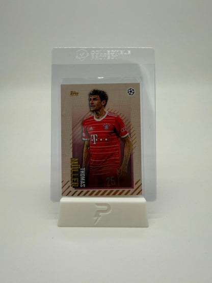 PUSHDICH Tradingcard Stand  Weiss