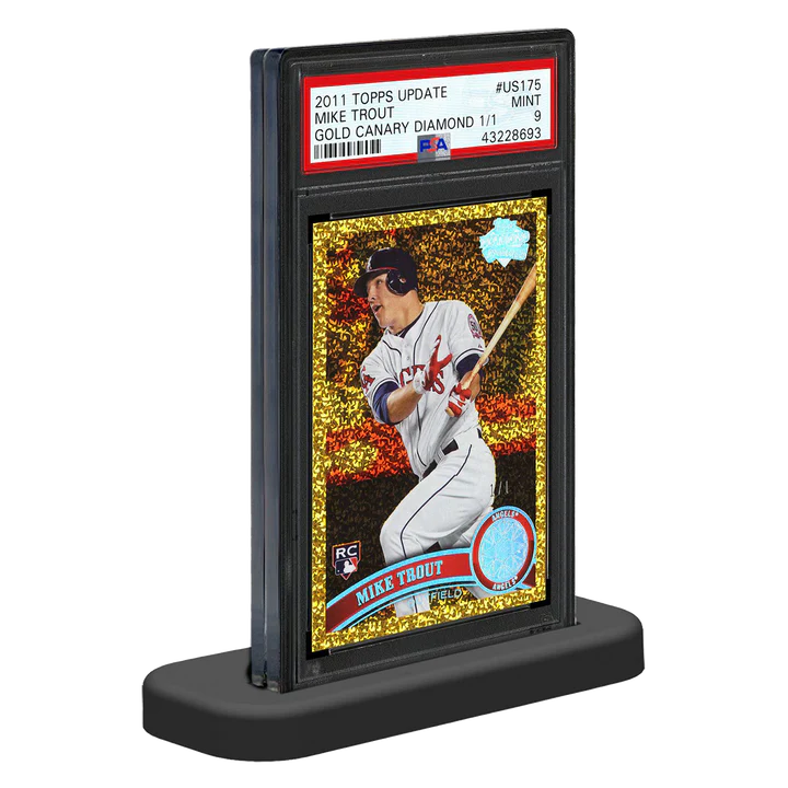 Ultra Pro - Graded Card Stand PSA (10 Stk.)