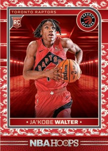 1x EINZELPACK: 2024-25 PANINI HOOPS Basketball Hobby Box (SEALED)