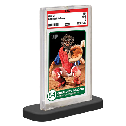 Ultra Pro - Graded Card Stand PSA (10 Stk.)